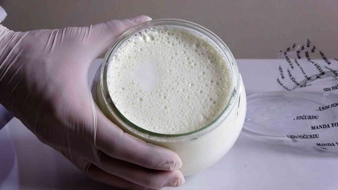 Cumhurbaşkanı Erdoğan Tavsiye Etti, Tokat’ta Üretimde Ön Sıralarda Yer Alıyor