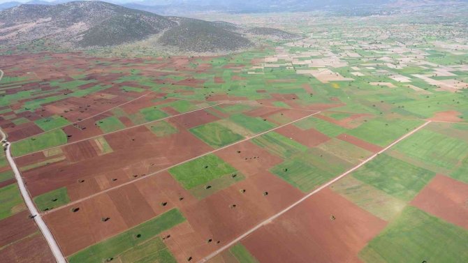 Denizli’ye Son 19 Yılda 75 Sulama Tesisi Kazandırıldı