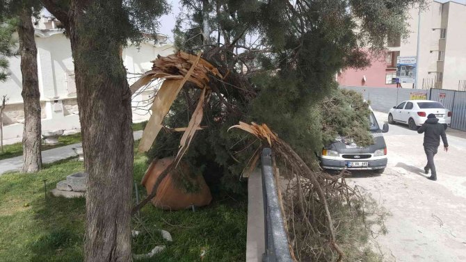 Edirne Felaketi Yaşıyor