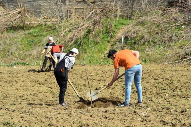 Eğitim Ve Araştırma Amaçlı 180 Adet Meyve Fidanı Toprakla Buluştu
