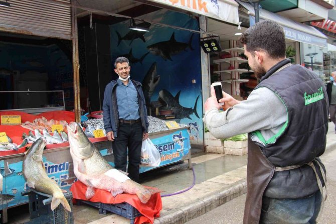 Elazığ’da Sezonun Son Dev Turna Balığı Yakalandı: Tam 103 Kilogram