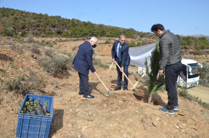 Gtso’dan Her Üye İçin Bir Fidan