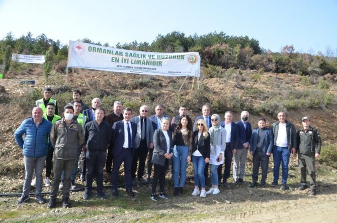 Gtso’dan Her Üye İçin Bir Fidan