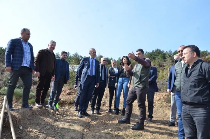 Gtso’dan Her Üye İçin Bir Fidan