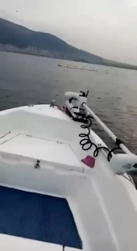 Bursa’da Pelikan Sürüsü Kameralara Yansıdı