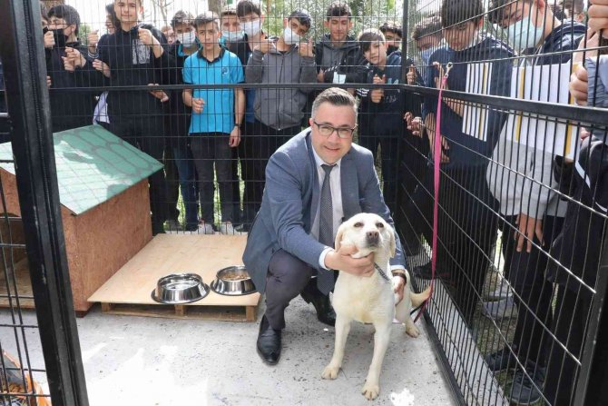 Manisa Büyükşehir Belediyesinden ’Can Dostum’ Projesi