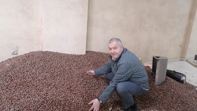 Zirai Don Riski Fındık Fiyatlarını Yükseltti