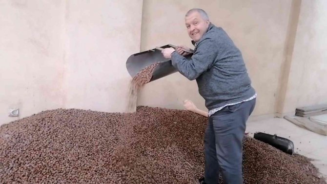 Zirai Don Riski Fındık Fiyatlarını Yükseltti