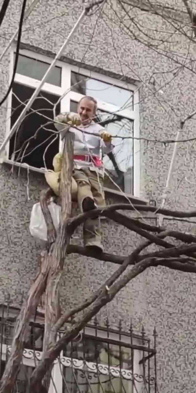 Kendini İple Bağlayarak Ağaç Budadı