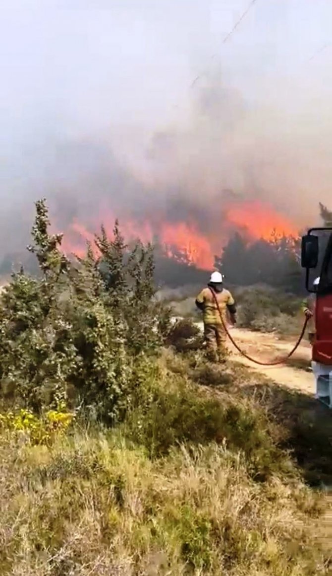 Çeşme’de Otluk Alandaki Yangına Ekipler Müdahale Ediyor