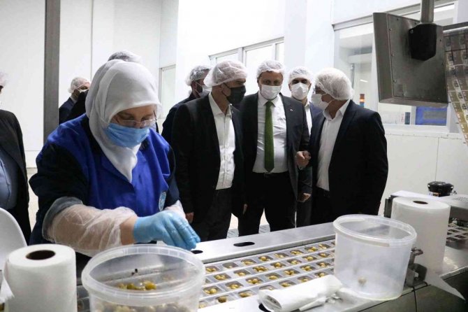 Başkan Usta “ Marmarabirlik’te İstikrar Başarıyı Getirdi”