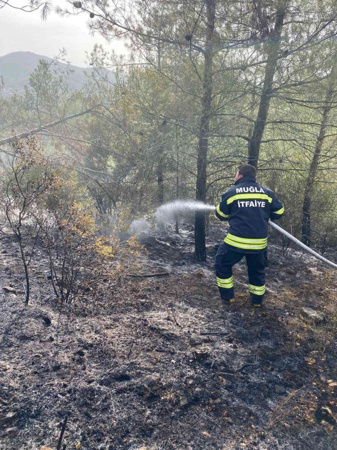 Kavaklıdere İ̇tfaiye Amirliği Orman Yangınına Müdahale Etti