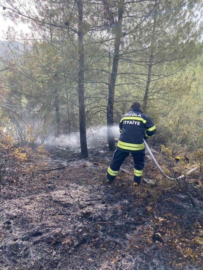 Kavaklıdere İ̇tfaiye Amirliği Orman Yangınına Müdahale Etti