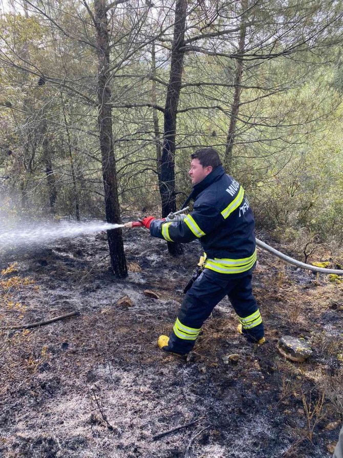 Kavaklıdere İ̇tfaiye Amirliği Orman Yangınına Müdahale Etti