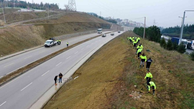 Kocaeli Şehir Hastanesi Yolunda Çevre Düzenlemesi