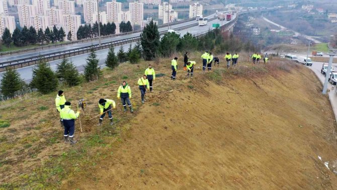 Kocaeli Şehir Hastanesi Yolunda Çevre Düzenlemesi