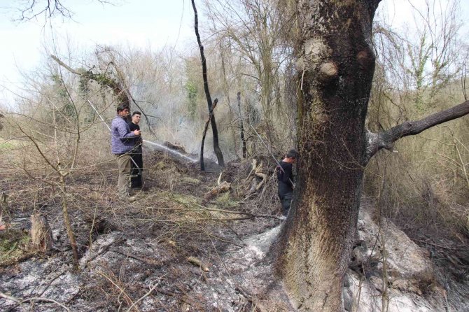 Kocaeli’de Ormanlık Alanda Yangın Çıktı