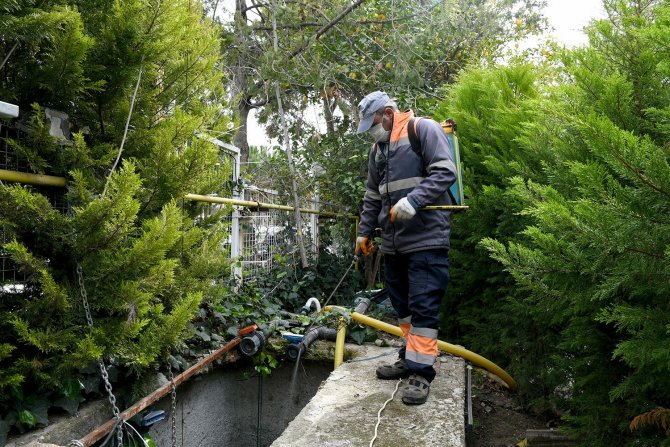Kuşadası’nda Vektörle Mücadele Devam Ediyor