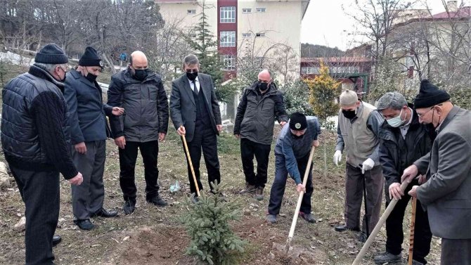Kütahya’da Yaşlılar Fidan Dikti