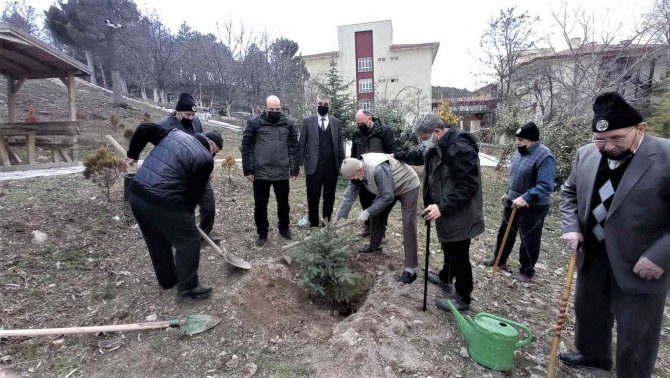 Kütahya’da Yaşlılar Fidan Dikti
