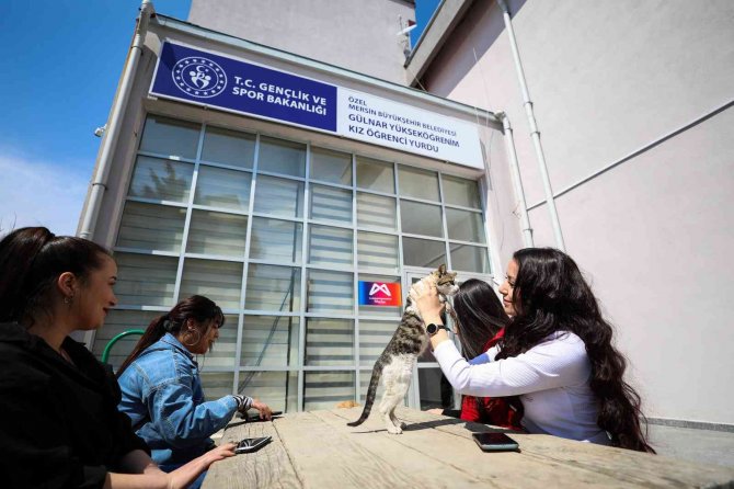 Gülnar’daki Yurt Ve Konuk Evi, Öğrencilere Sıcak Bir Yuva Oldu