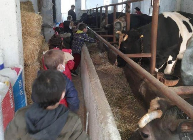 Pazarlar’da Anasınıfı Öğrencilerine Süt Eğitimi