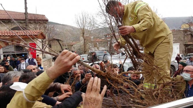 Fidan Alabilmek İçin Birbiriyle Yarıştılar