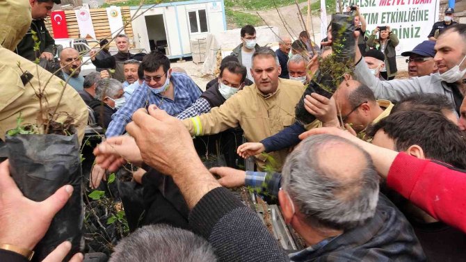 Fidan Alabilmek İçin Birbiriyle Yarıştılar