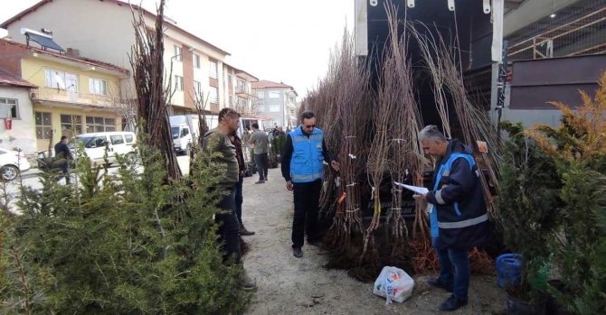 Altıntaş’ta Fidan Satışı Kontrol Ve Denetimleri