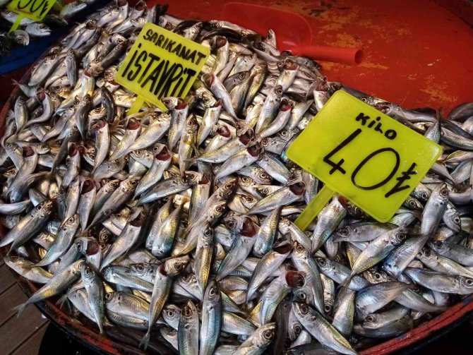 Ramazan Ayının İlk Günü Bandırma Balık Hali Boş Kaldı