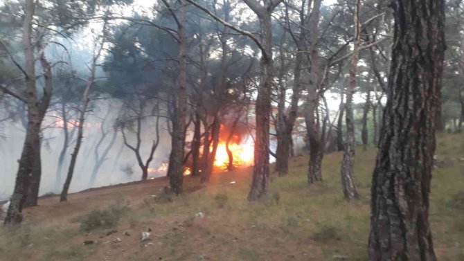 Balıkesir’de Orman Yangını Zamanında Müdahale İle Kısa Sürede Söndürüldü