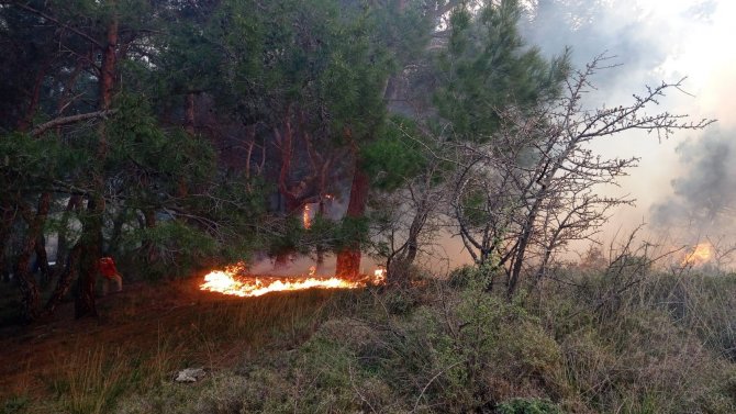 Balıkesir’de Gece Boyunca Çıkan 3 Orman Yangını Söndürüldü