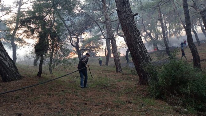 Balıkesir’de Gece Boyunca Çıkan 3 Orman Yangını Söndürüldü