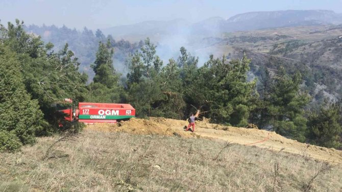 Bilecik’te Dün Başlayan Orman Yangını Söndürüldü, Soğutma İşlemi Başladı
