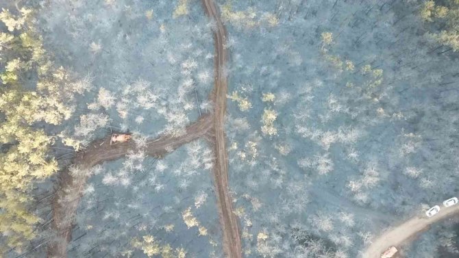 Bursa’daki Orman Yangını 18 Saatlik Müdahalenin Ardından Kontrol Altına Alındı