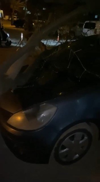 Bursa’da Lodosun Etkisiyle Ağaçlar Araçların Üzerine Devrildi
