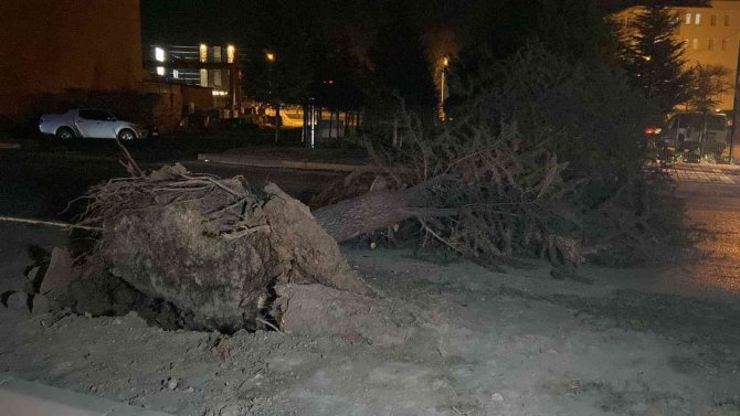 Lodosun Devirdiği Ağaç Yolu Ulaşıma Kapattı