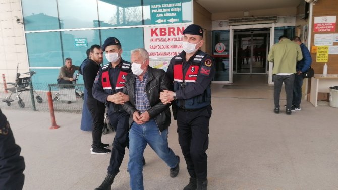 Bursa’da Hamile Köpeği Öldüren Zanlı Serbest Bırakıldı