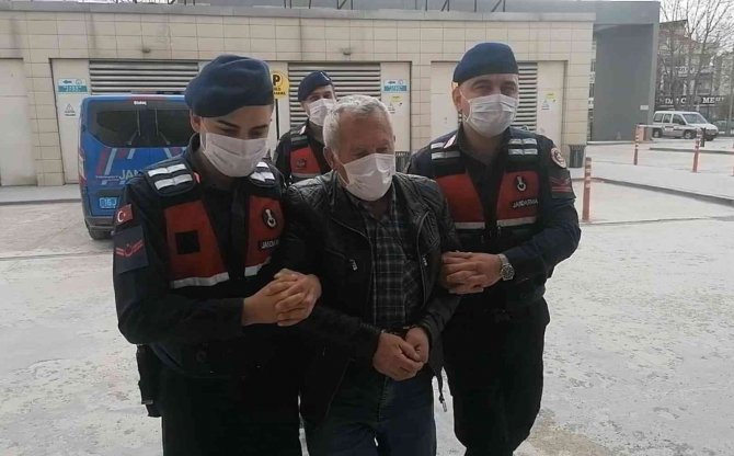 Bursa’da Hamile Köpeği Öldüren Zanlı Serbest Bırakıldı