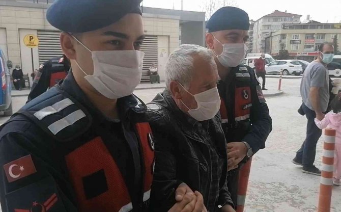 Bursa’da Hamile Köpeği Öldüren Zanlı Serbest Bırakıldı
