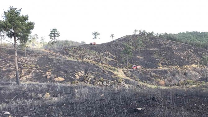 Çanakkale’deki Orman Yangınında Soğutma Çalışmalarına Başlandı