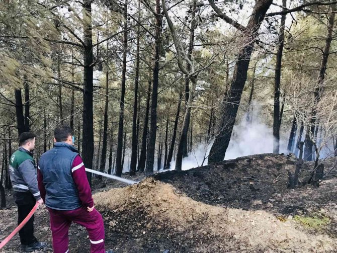 Çanakkale’deki Orman Yangını 18 Saat Sonra Kontrol Altına Alındı