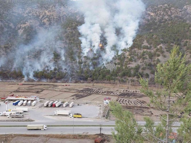 Çorum’da Anız Yangını Ormana Sıçradı