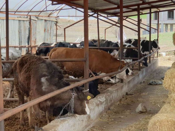 Karantina Alınan 7 Mahalleye Giriş Çıkışlar Yasaklandı