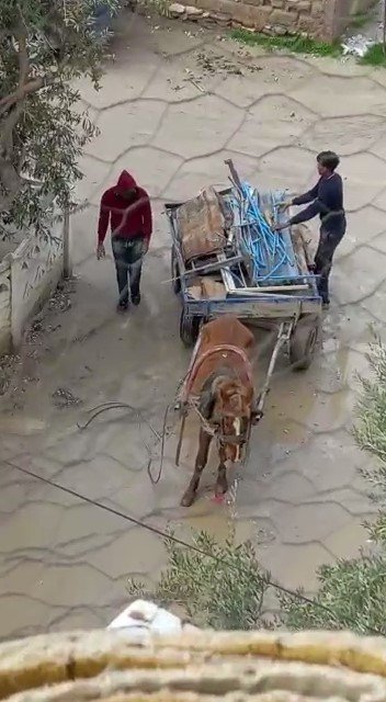 At Arabasıyla Gelip Ellerini Kollarını Sallayarak Hırsızlık Yaptılar