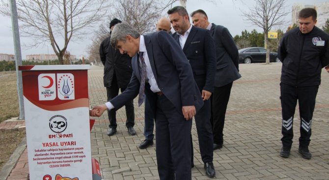 Dpü’de Sokak Hayvanları İçin Mamamatik Uygulaması