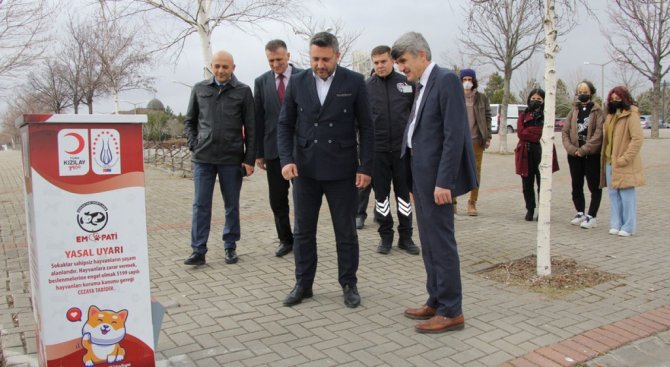 Dpü’de Sokak Hayvanları İçin Mamamatik Uygulaması
