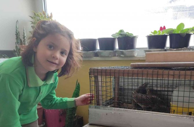 Öğrenciler Tabiat Ve Bakım Atölyesini Boş Bırakmıyor