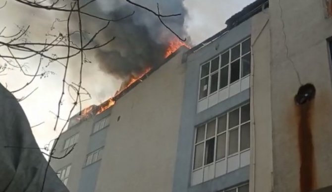 Bayrampaşa’da Sanayi Sitesinde Yangın: 250 Güvercin Telef Oldu, 1 Araç Küle Döndü