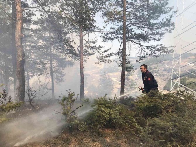 Kastamonu’da Orman Yangını, Polis Ekiplerinin Dikkati Sayesinde Büyümeden Söndürüldü